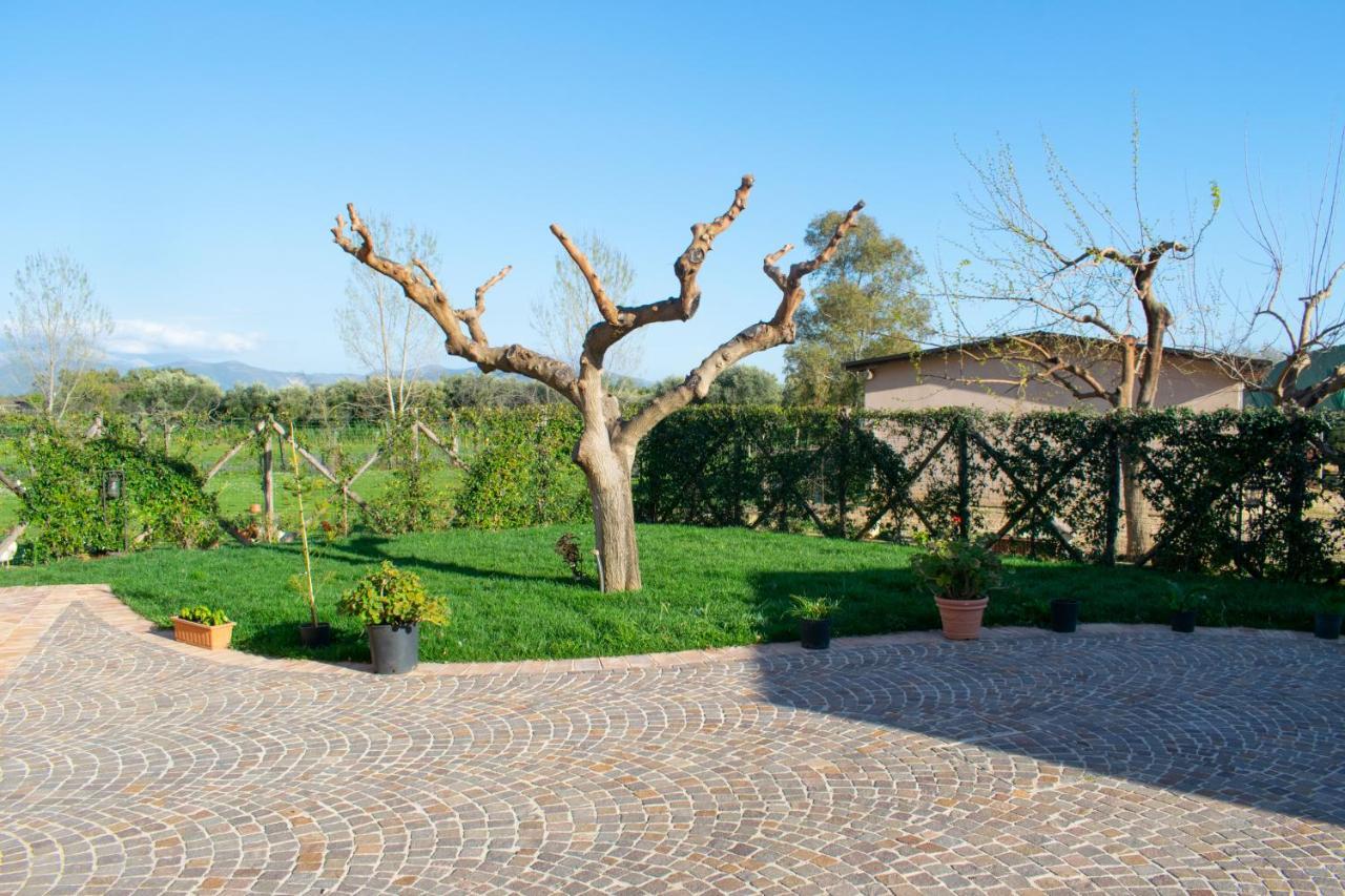 Camera Iris - B&B Antico Casale Monte San Biagio Exteriér fotografie